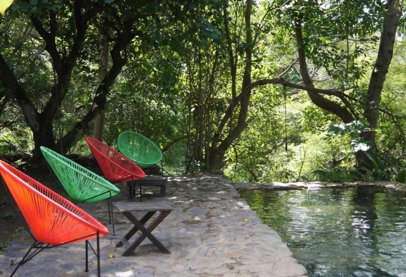 مبيت وإفطار Casa Rural Aroma De Campo