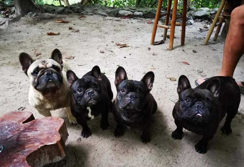 مبيت وإفطار Casa Rural Aroma De Campo