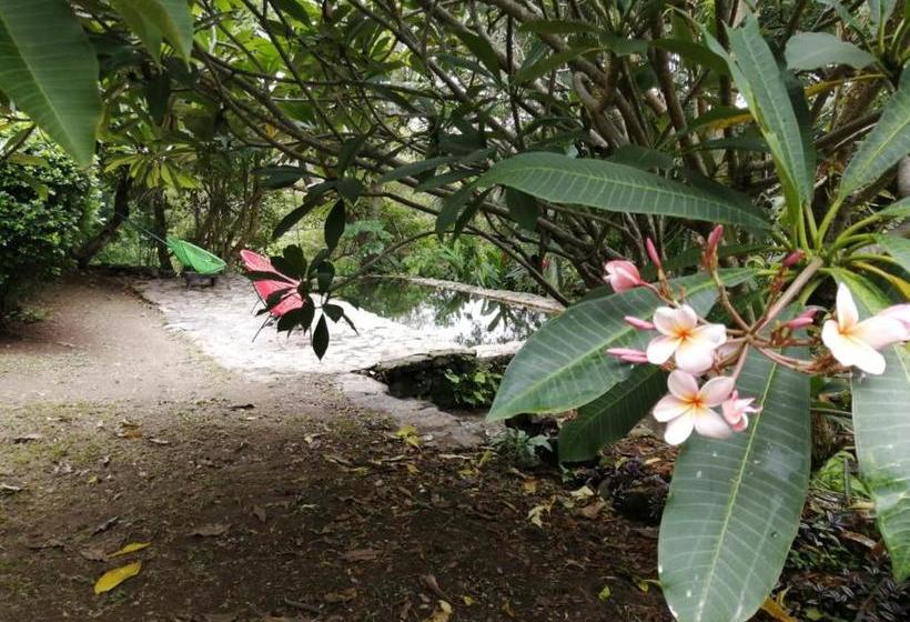 مبيت وإفطار Casa Rural Aroma De Campo