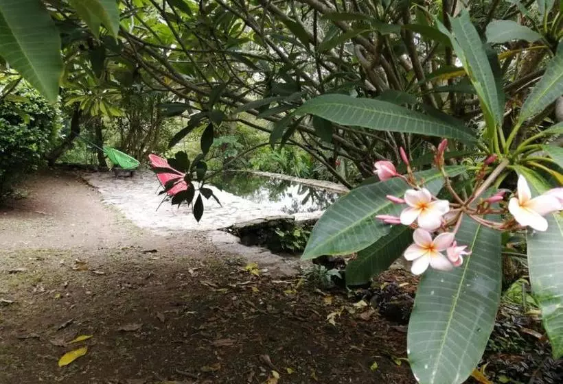 Aamiaismajoitus (B&B) Casa Rural Aroma De Campo