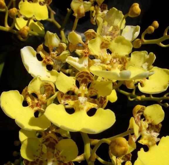 مبيت وإفطار Casa Rural Aroma De Campo