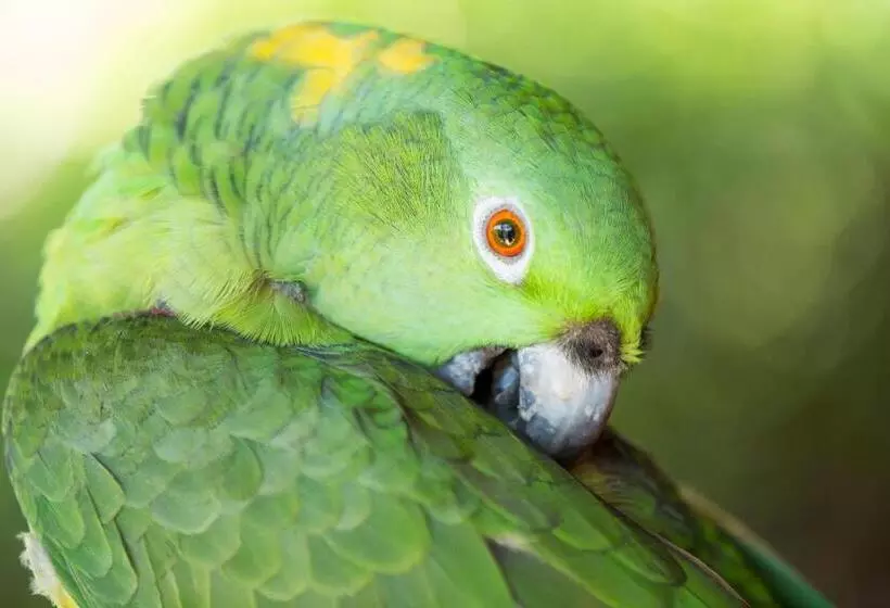 Aamiaismajoitus (B&B) Casa Rural Aroma De Campo