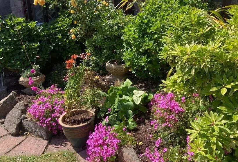 Aamiaismajoitus (B&B) Friars Bridge Guesthouse