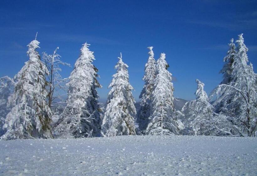 펜션 Gasthaus Sonne