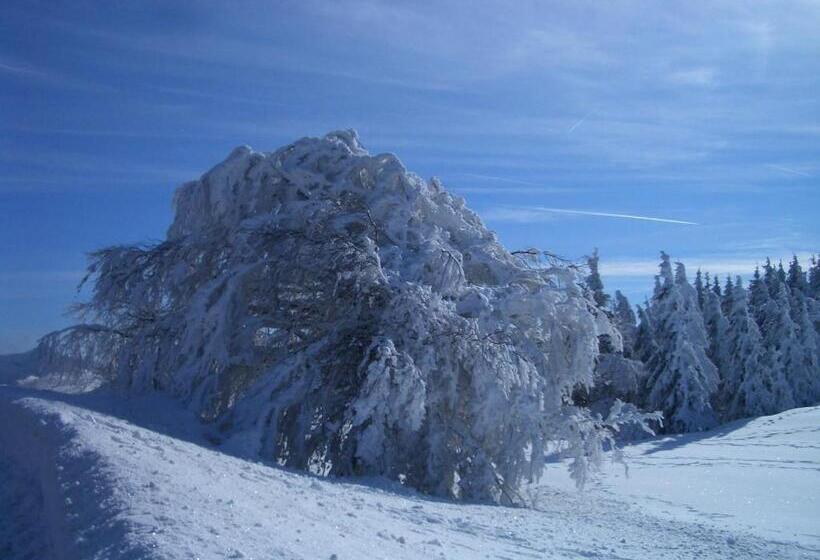 펜션 Gasthaus Sonne