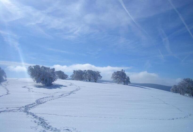 펜션 Gasthaus Sonne