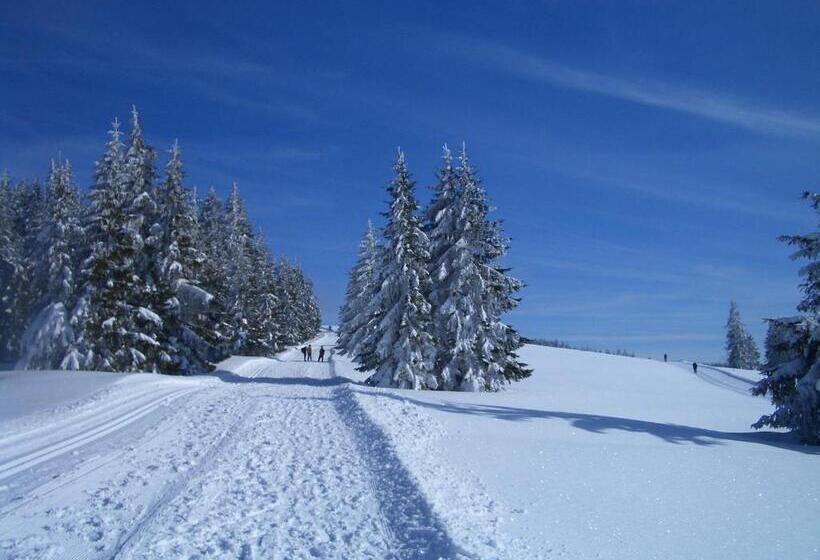 펜션 Gasthaus Sonne