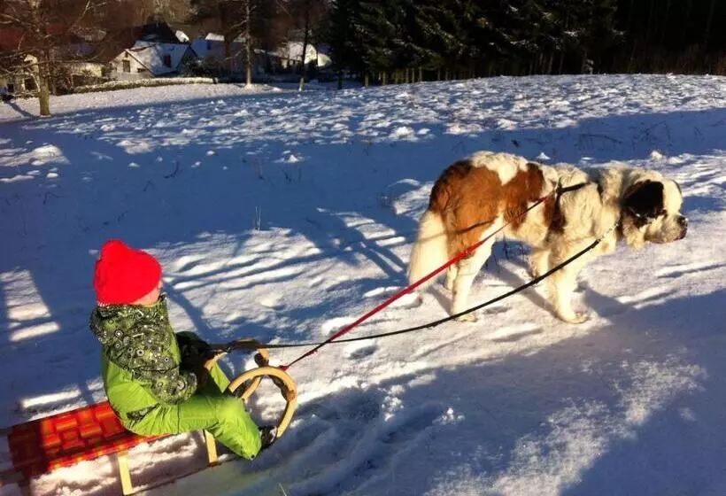 Majatalo Gasthof  Zum Reifberg