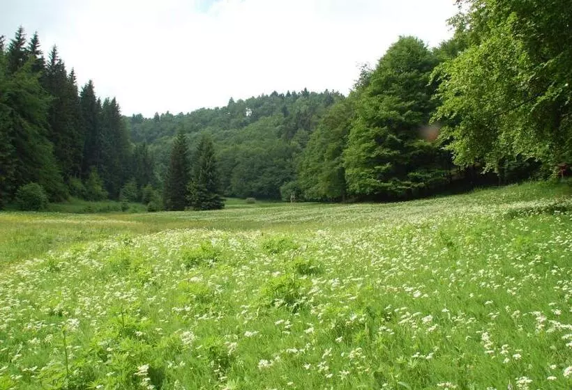 Majatalo Gasthof  Zum Reifberg