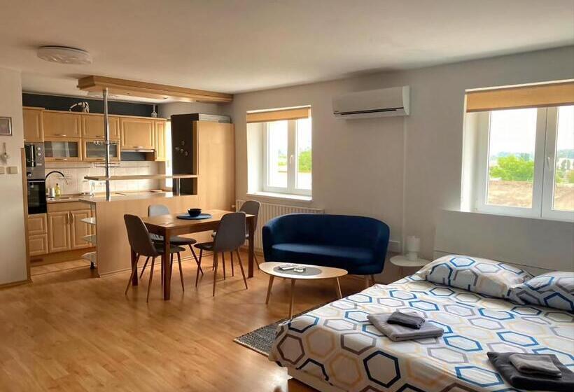 膳宿费 Penzion Miromar