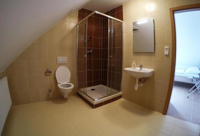 Panzió Penzion U Tri Statkaru