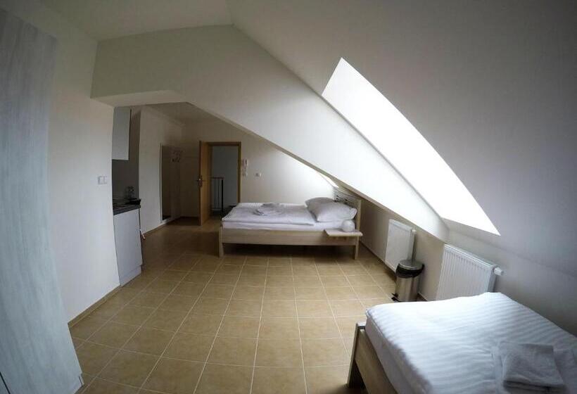 Panzió Penzion U Tri Statkaru