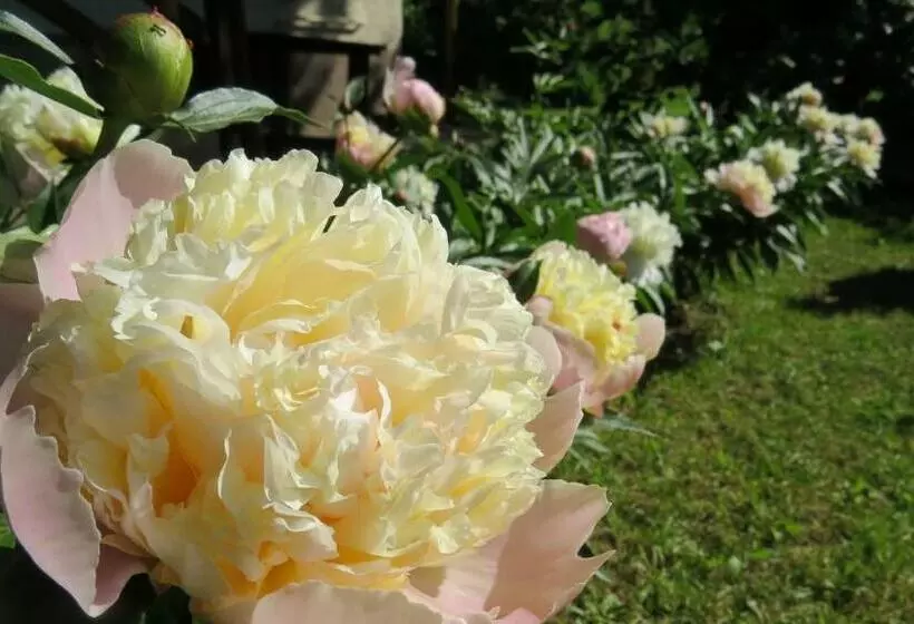 Majatalo Tarjányi Vendégház