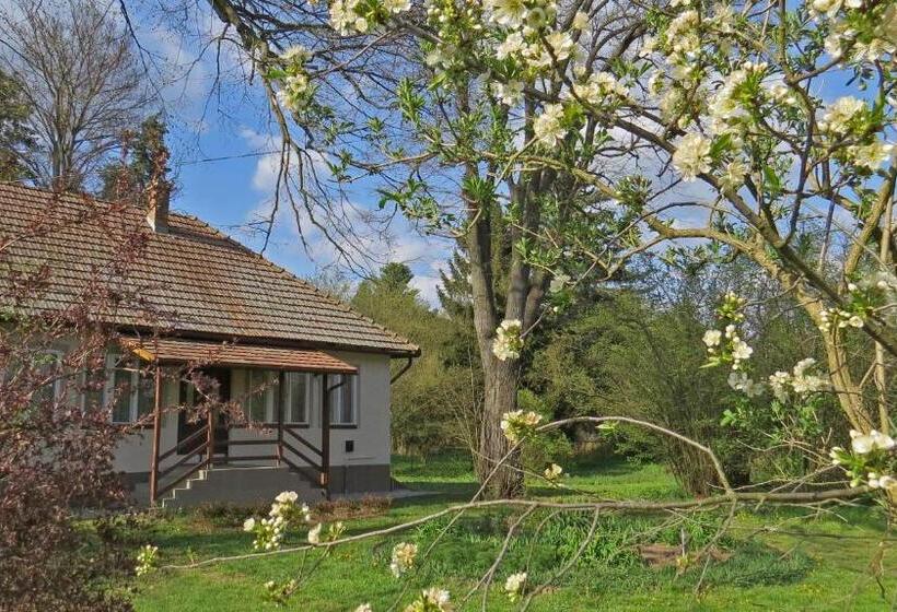 بنسيون Tarjányi Vendégház