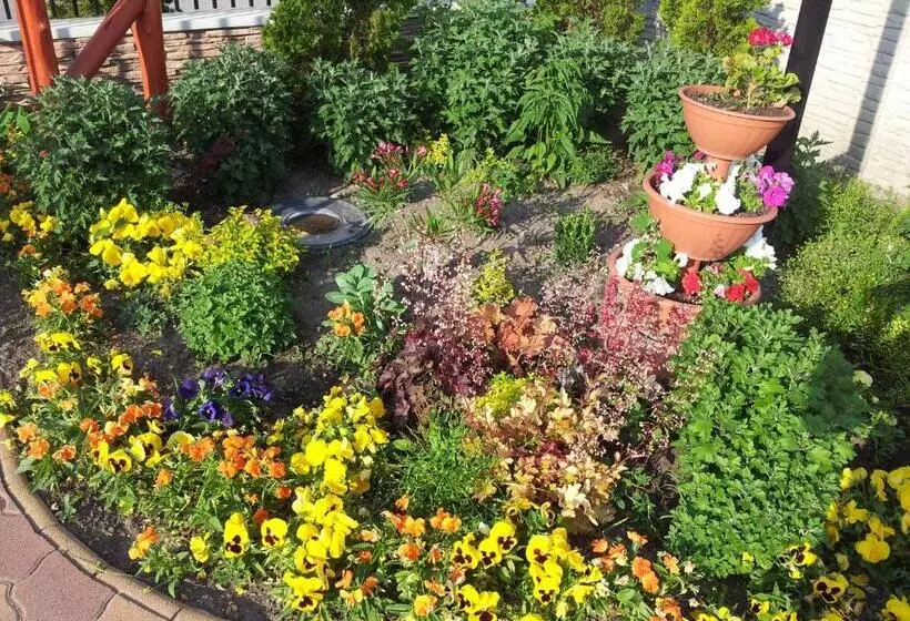 Tó  Party Panoráma Panzió & Wellness