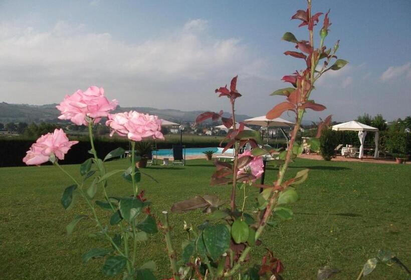 住宿加早餐 Il Gallo Del Vicino