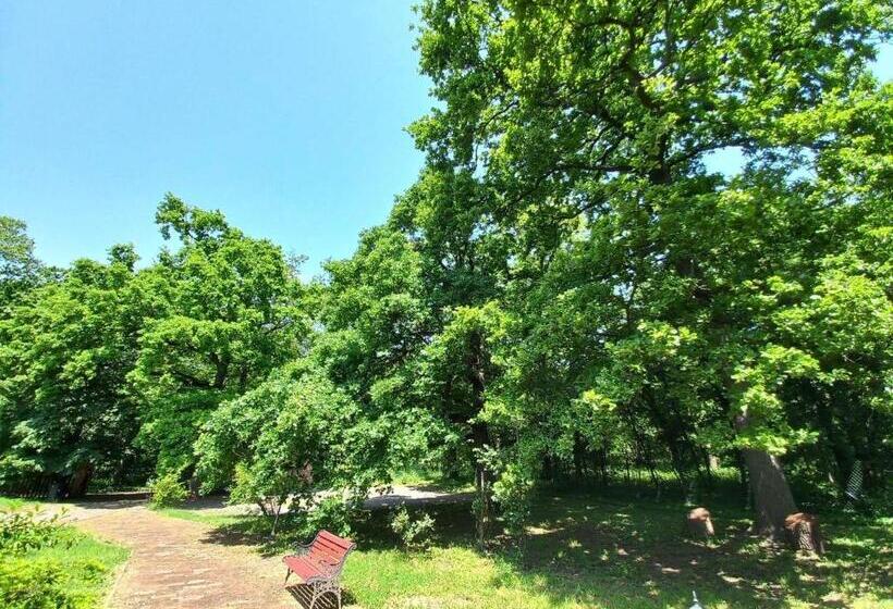 膳宿费 Erdei Vendégház