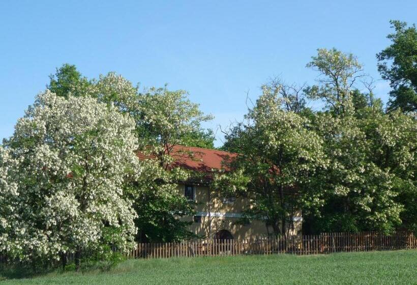 膳宿费 Erdei Vendégház