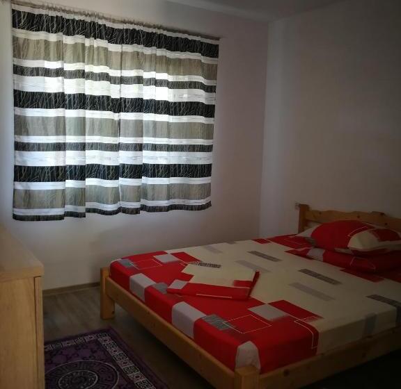 膳宿费 Vila Baciu