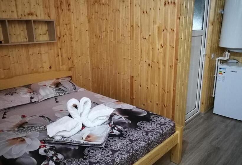 膳宿费 Vila Baciu