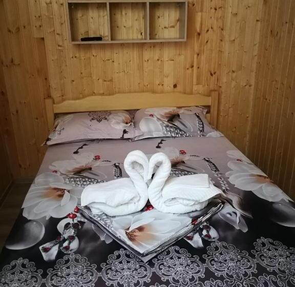 膳宿费 Vila Baciu