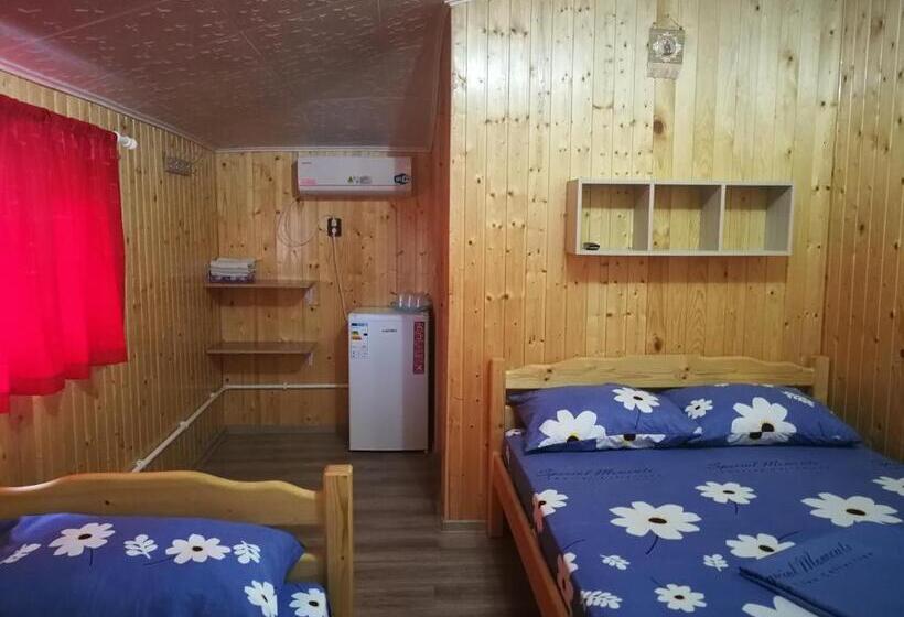 膳宿费 Vila Baciu