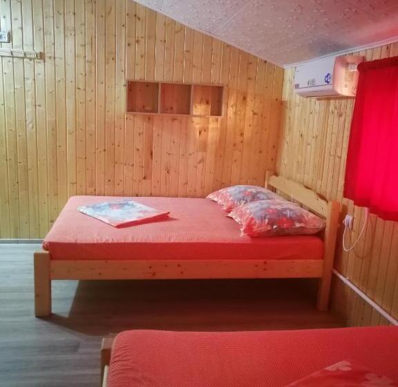 膳宿费 Vila Baciu