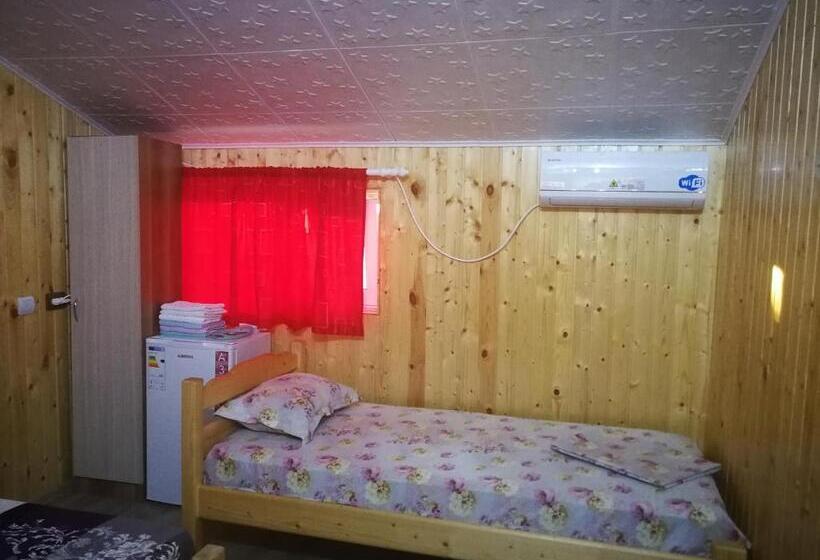 膳宿费 Vila Baciu