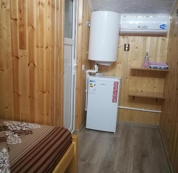 膳宿费 Vila Baciu