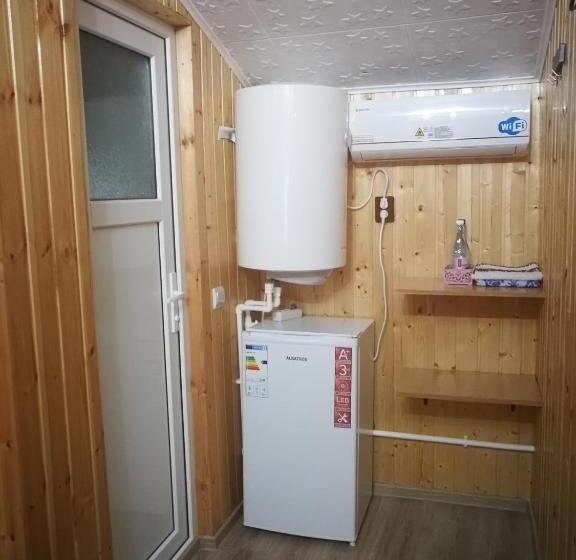 膳宿费 Vila Baciu