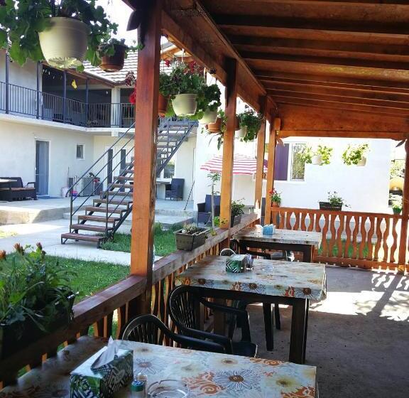 膳宿费 Vila Baciu