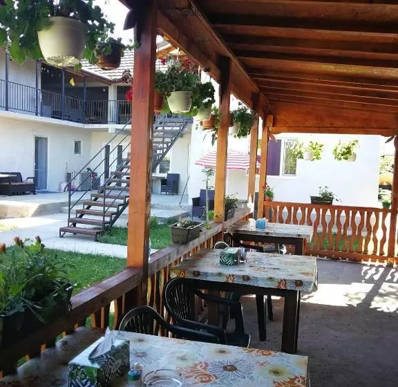 Pensió Vila Baciu