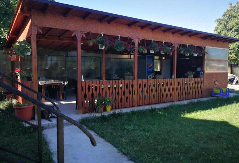 膳宿费 Vila Baciu