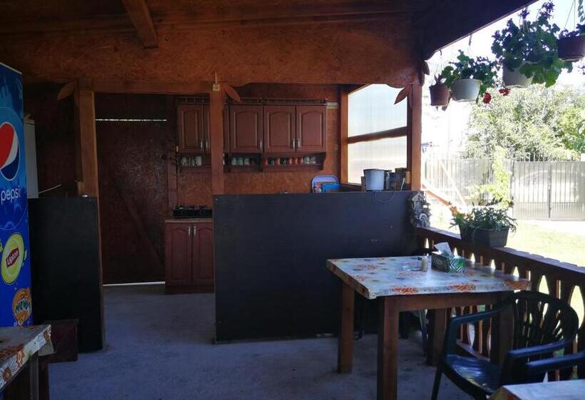 膳宿费 Vila Baciu