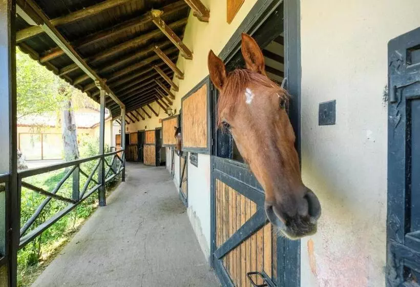 Отель Berke Ranch & Nature