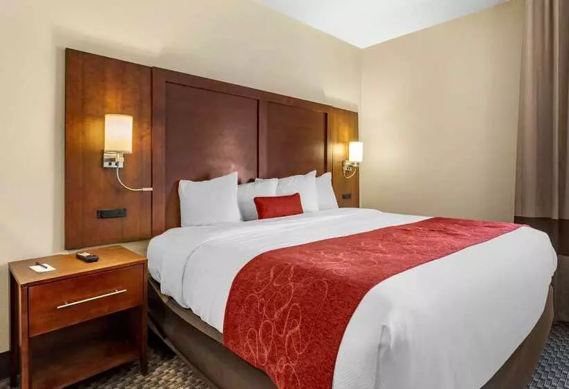 فندق Comfort Suites