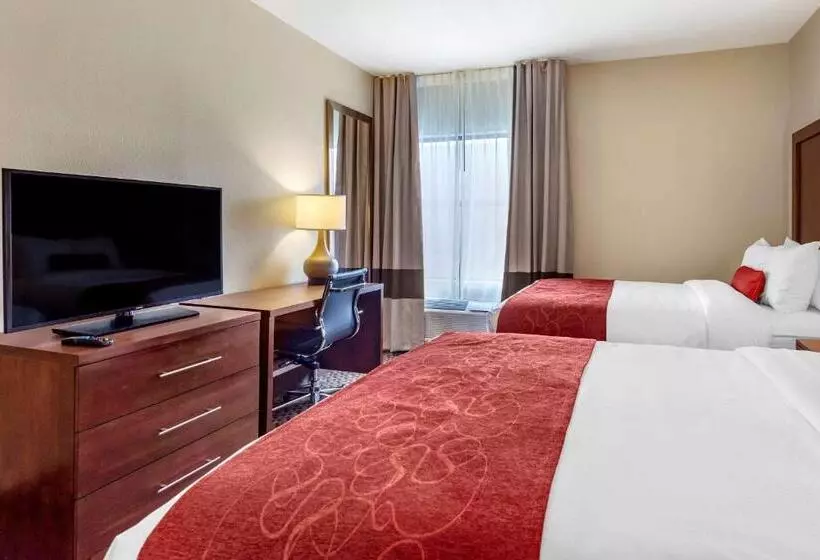 فندق Comfort Suites