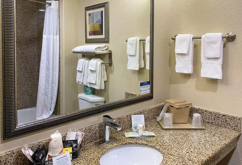 Hotel Comfort Suites Kings Bay Naval Base Area