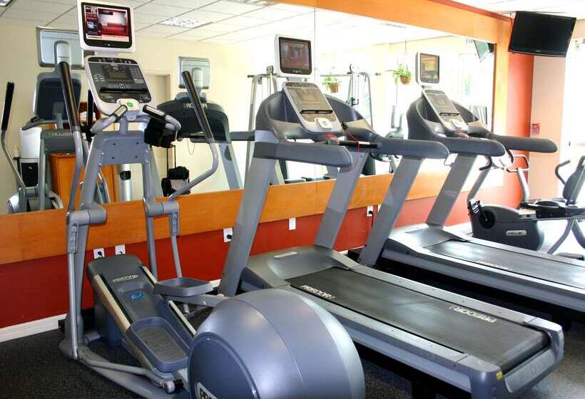 酒店 Hilton Garden Inn Tampa North Busch Gardens