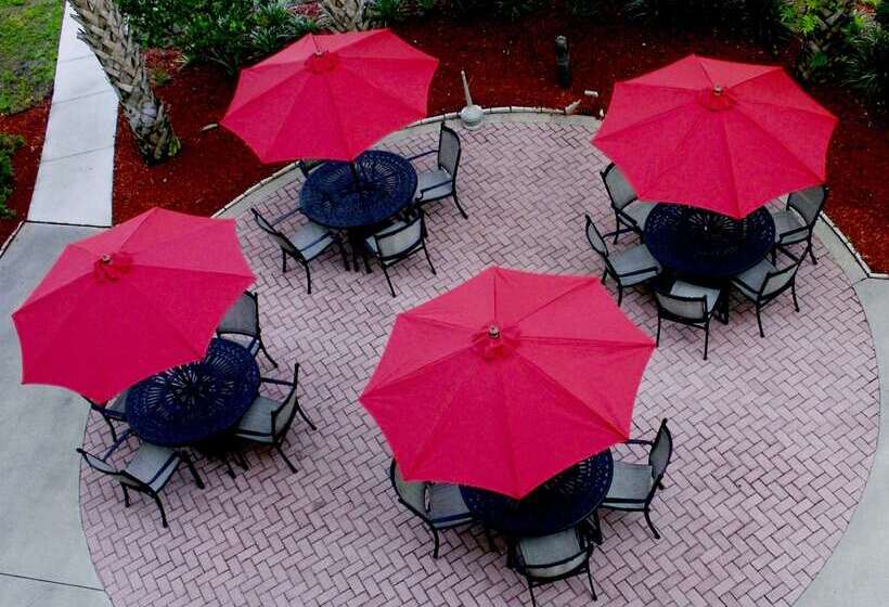 酒店 Hilton Garden Inn Tampa North Busch Gardens