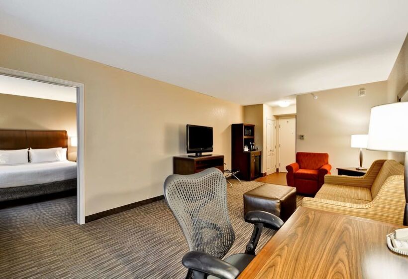 酒店 Hilton Garden Inn Tampa North Busch Gardens