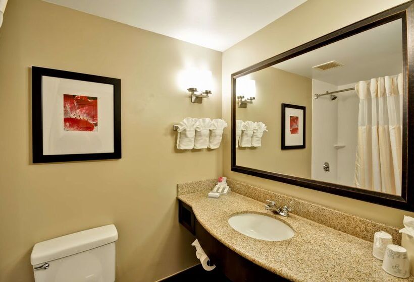 酒店 Hilton Garden Inn Tampa North Busch Gardens