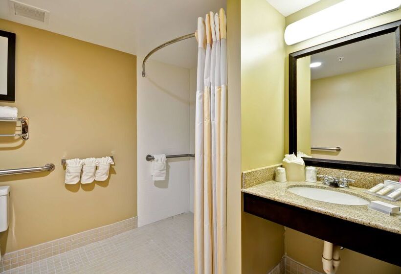 酒店 Hilton Garden Inn Tampa North Busch Gardens