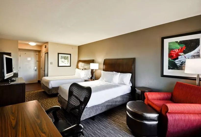 هتل Hilton Garden Inn Tampa North Busch Gardens