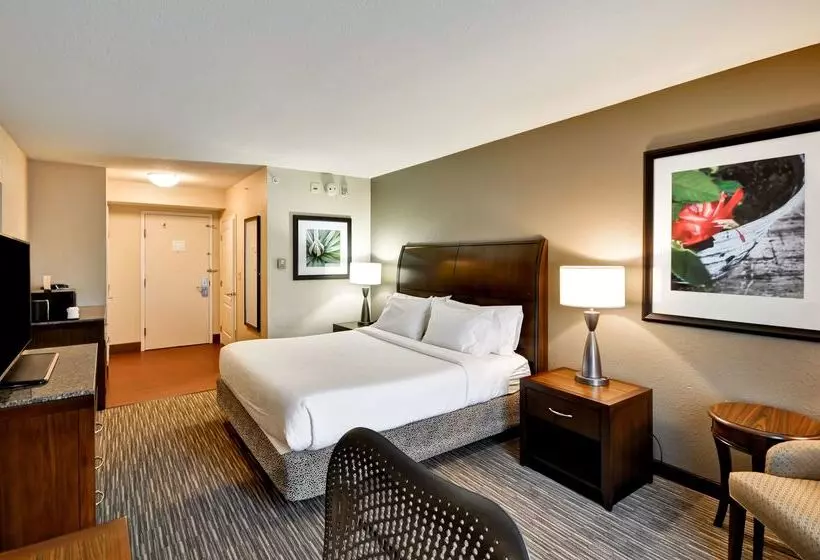 هتل Hilton Garden Inn Tampa North Busch Gardens