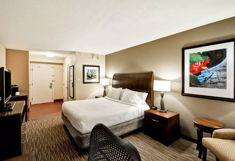 هتل Hilton Garden Inn Tampa North Busch Gardens