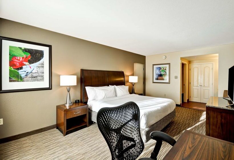 酒店 Hilton Garden Inn Tampa North Busch Gardens