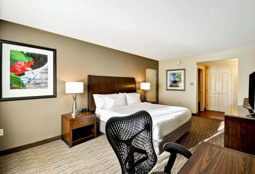 هتل Hilton Garden Inn Tampa North Busch Gardens