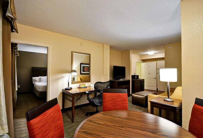 酒店 Hilton Garden Inn Tampa North Busch Gardens