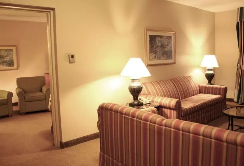 هتل Hilton Garden Inn Tampa North Busch Gardens